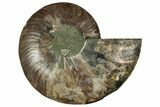 Cut & Polished Ammonite Fossil (Half) - Madagascar #329192-1